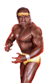 Hulk Hogan